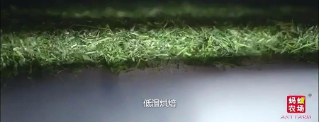 未标题-11.jpg